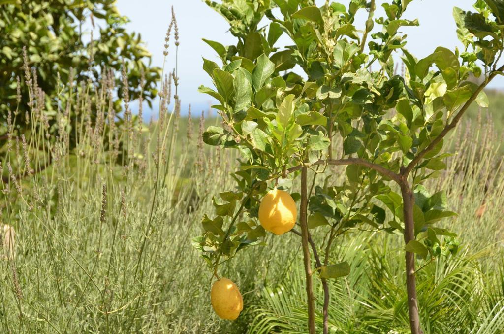 فيلا Baglio Poma كاستيلوزو المظهر الخارجي الصورة